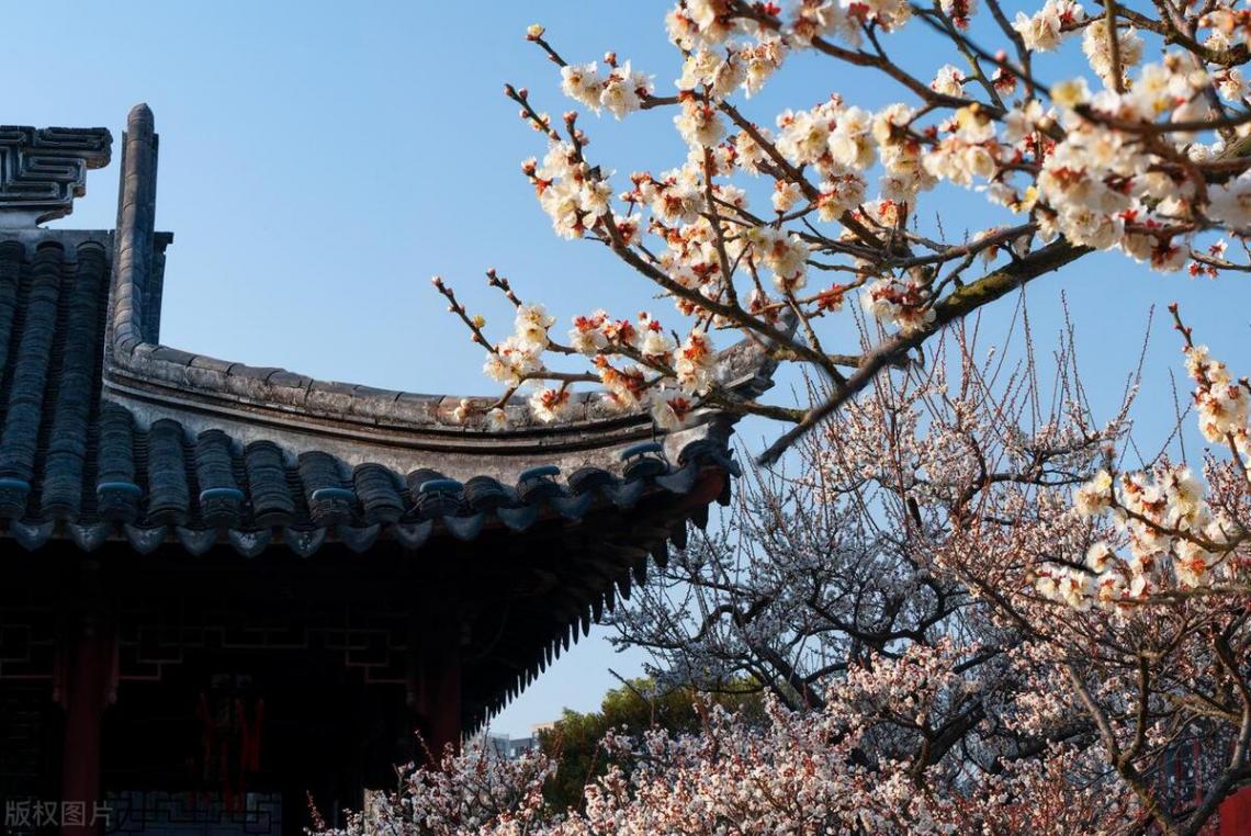 吃不愁穿不愁還得有錢去旅游