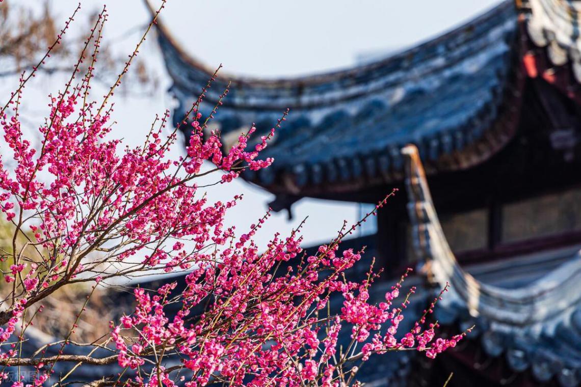 吃不愁穿不愁還得有錢去旅游