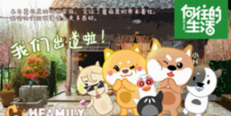 向往的生活小羊小不點去世