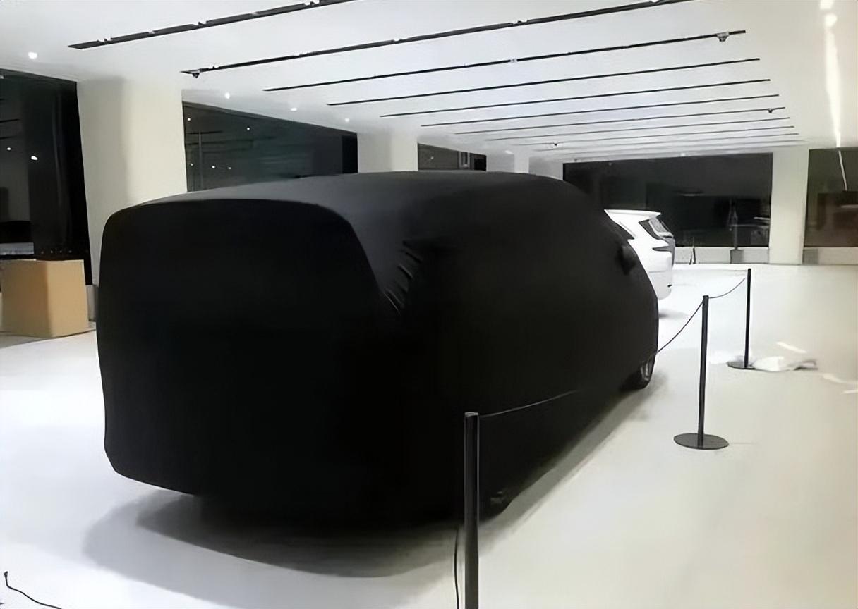 逼上絕路!雷軍與五菱跑兩會卷!理想沖垮中國車主心理防線