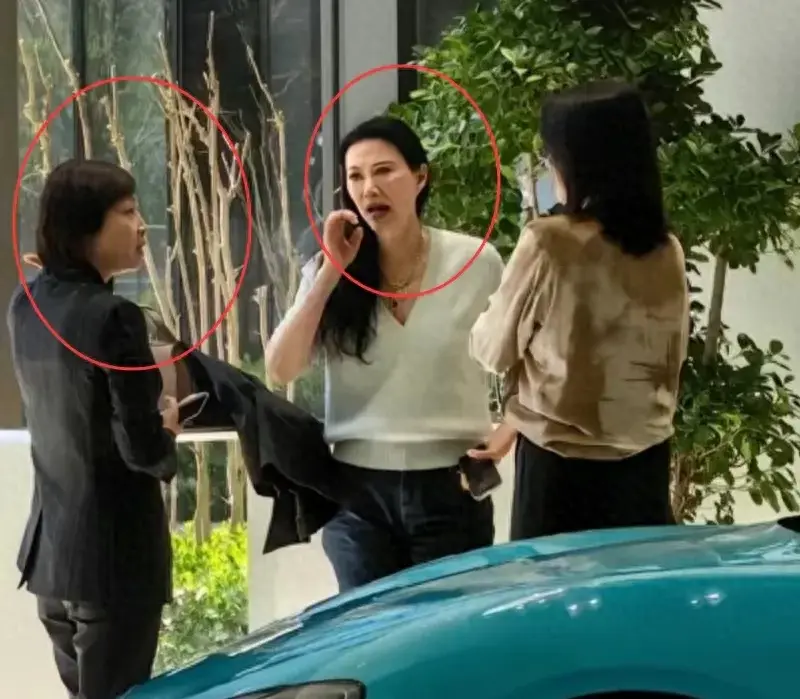 雷軍妻子陪鄧文迪看SU7