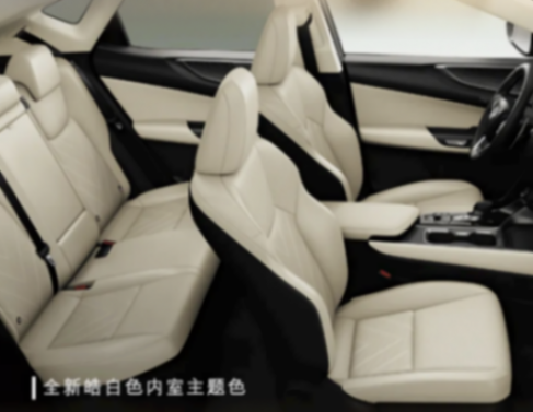 三種動力形式,增創(chuàng)界版,雷克薩斯新款NX上市