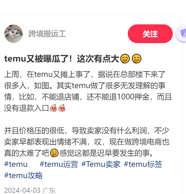 拼多多和Temu贏了,中國(guó)商家卻輸慘了