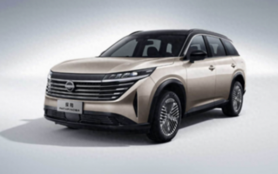 日產(chǎn)探陸試駕感受,6/7座SUV,看看它是不是你滿意的嗎