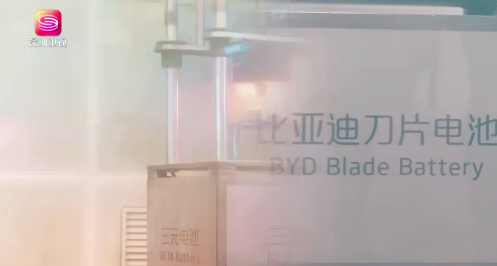 北歐企業代表團,怎樣看比亞迪?
