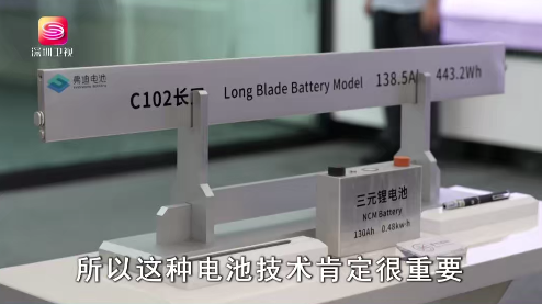 北歐企業代表團,怎樣看比亞迪?