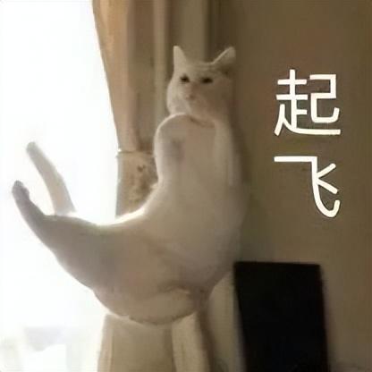 適配!微信和純血鴻蒙這個瓜有點大