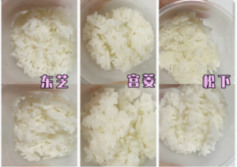 東芝、宮菱、松下電飯煲怎么樣?真實無廣測評性能王者
