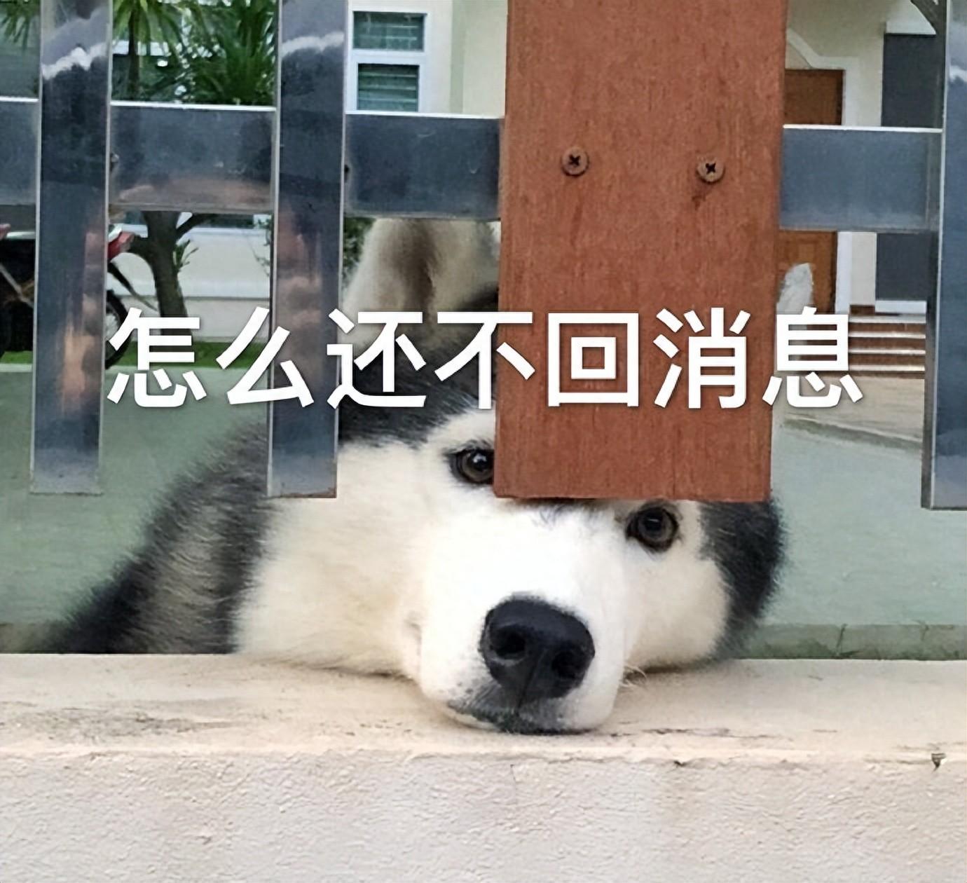 沖上熱搜!微信這個功能,我勸你一定要打開