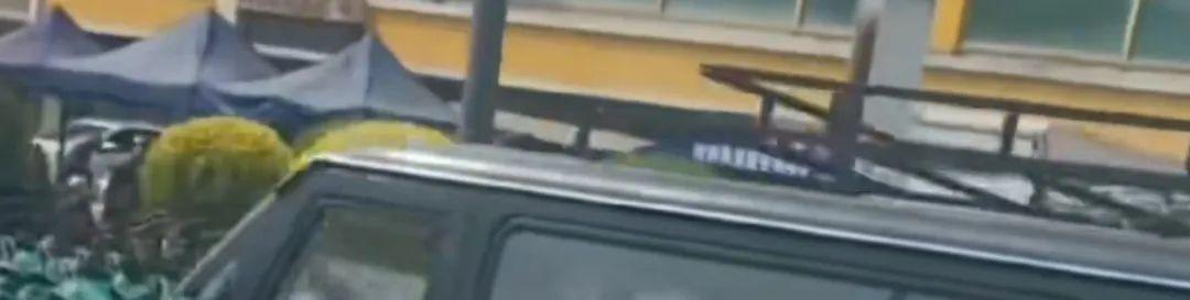 老頭樂也出商務車,蔚小理看了都認輸!