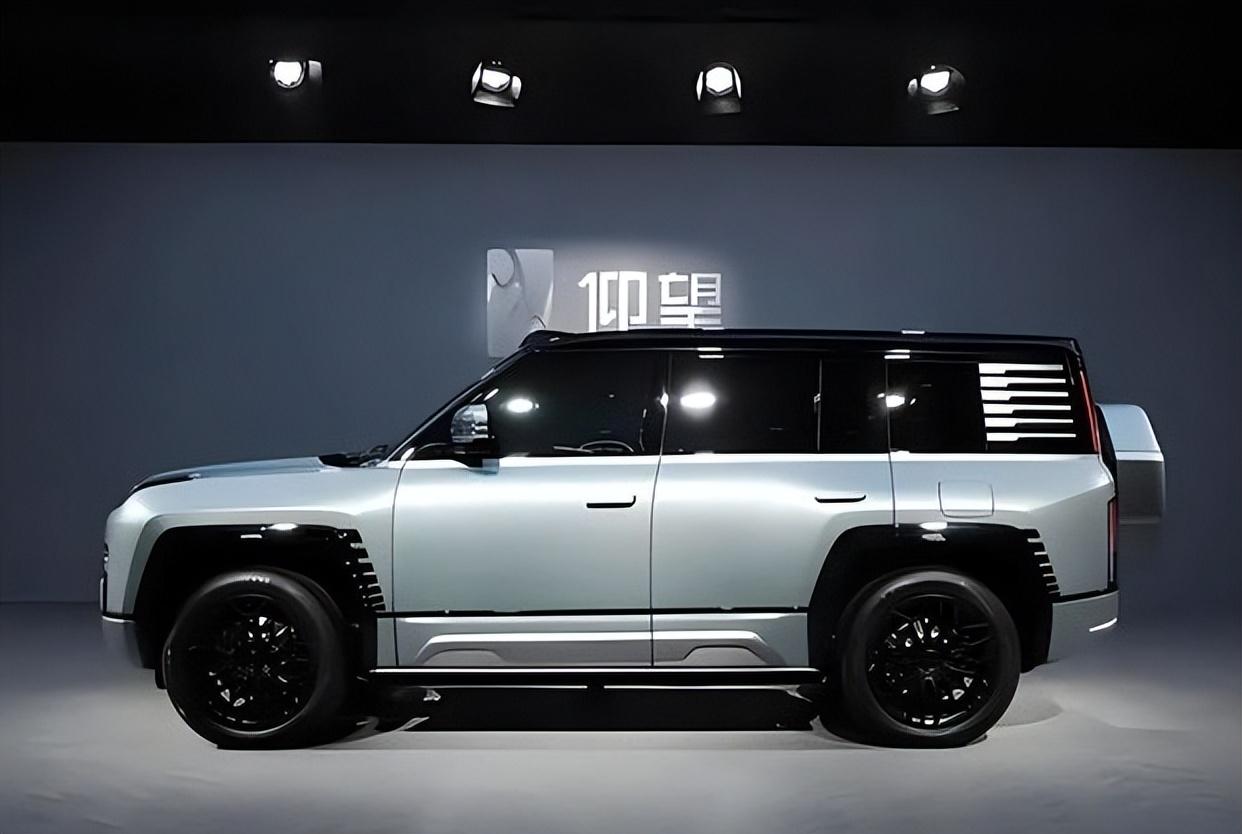 歐美放緩新能源汽車發展 國內專家質疑 新能源汽車發展方向錯了嗎