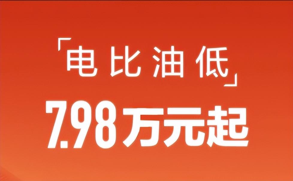 掀起價(jià)格戰(zhàn)的比亞迪 快成車企“公敵”了(上)