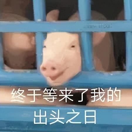 不止華為!這個「國產(chǎn)之光」下一步瞄準:索尼
