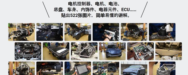 海豹、海鷗被剖析,比亞迪的軟肋終于被發現了?