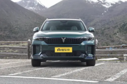 起售價(jià)22.89萬(wàn),定位中大型SUV,嵐圖FREE 318怎么樣?
