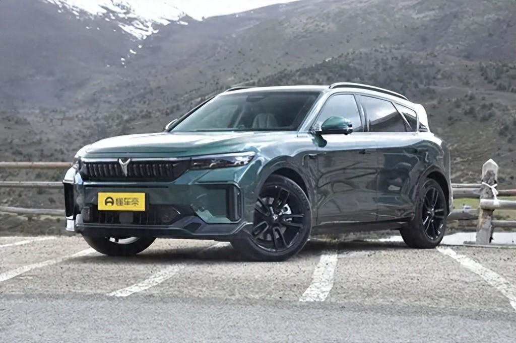 起售價(jià)22.89萬(wàn),定位中大型SUV,嵐圖FREE 318怎么樣?