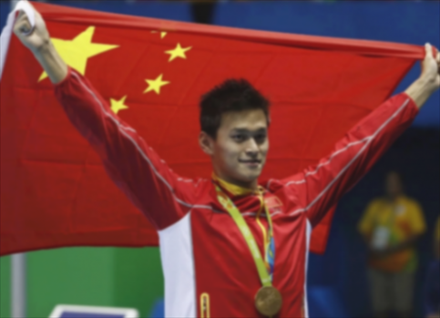 汪順與馬克龍握手