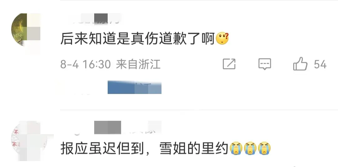 馬林扭傷膝蓋退賽 何冰嬌晉級決賽
