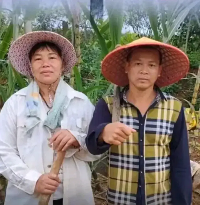 全紅嬋哥哥:我坐飛機來的