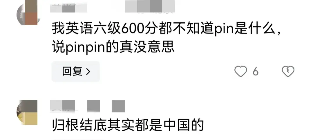 張雨霏:有人想“白嫖”中國(guó)的pin
