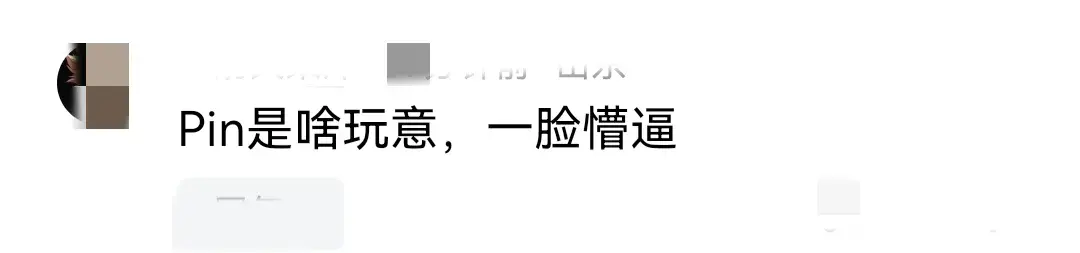 張雨霏:有人想“白嫖”中國(guó)的pin