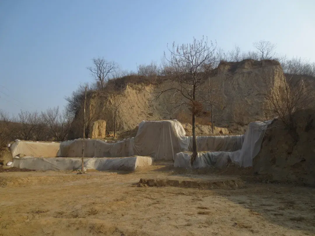河南發現距今5000年大墓