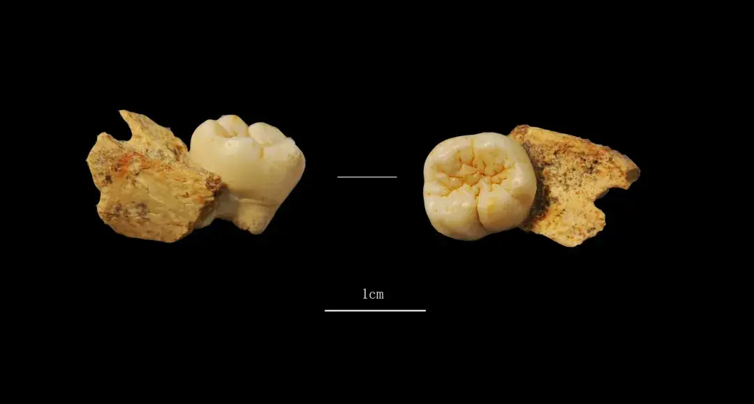 河南發現距今5000年大墓