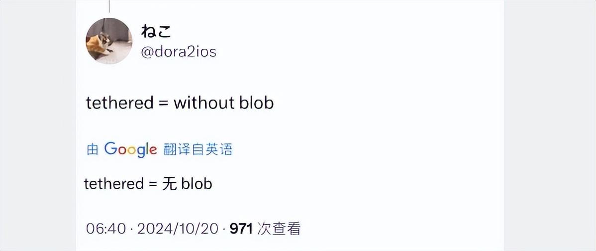 超勁爆!完美強降級 iOS 14.8 系統,居然成功了