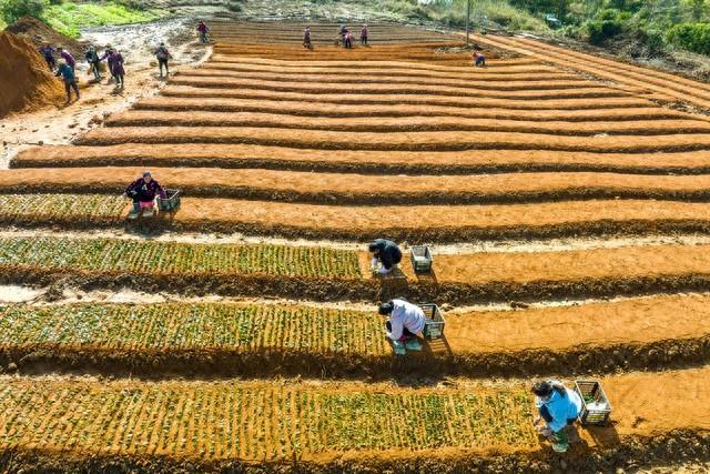 “農(nóng)民會有更加火熱的生活”