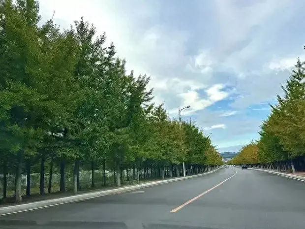 想買國產轎車,建議選擇這幾款,質量好,關鍵還便宜。你認可嗎?
