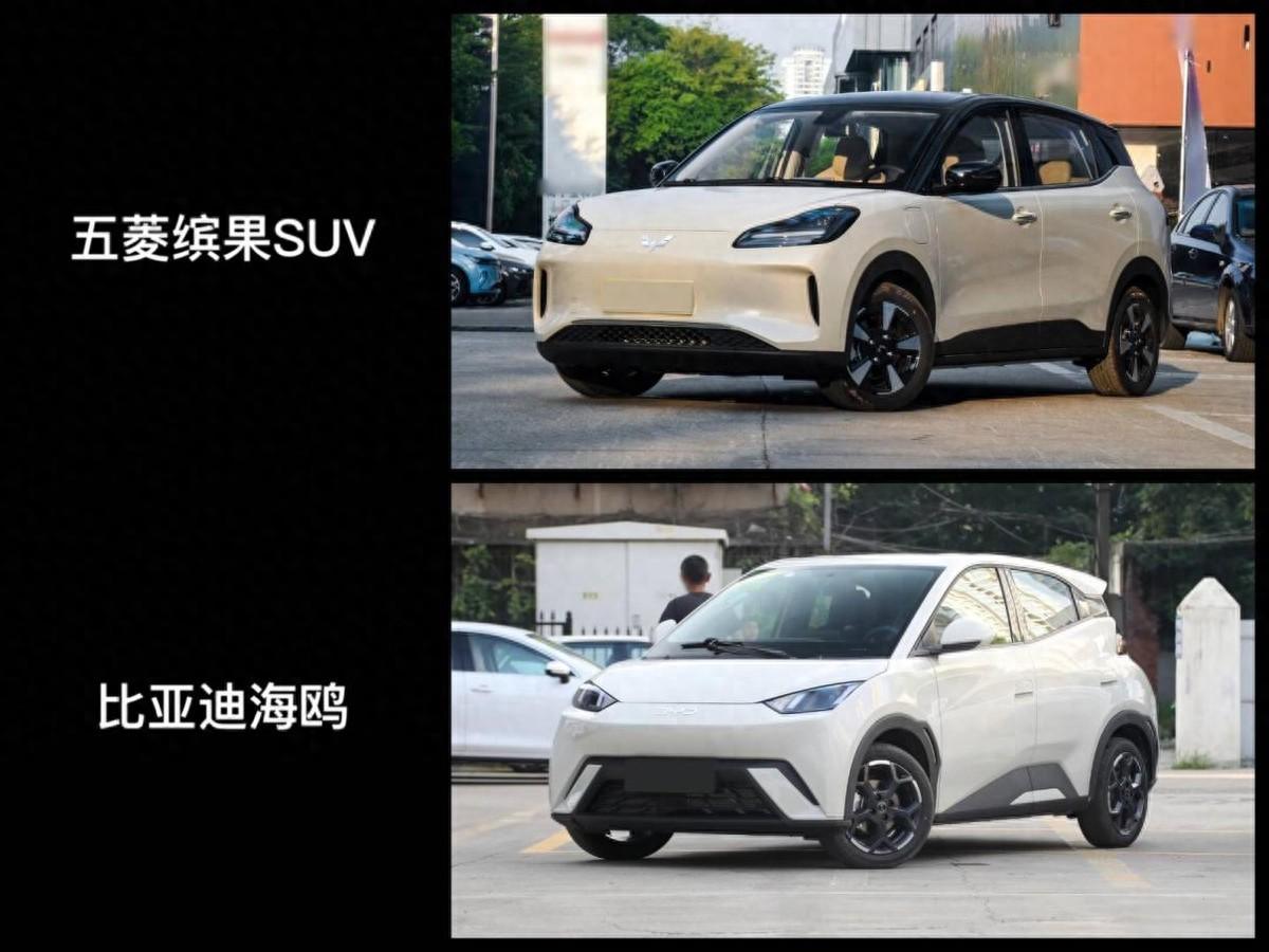 10萬內買純電大五座,繽果SUV與海鷗,誰才是“便宜的好貨”?