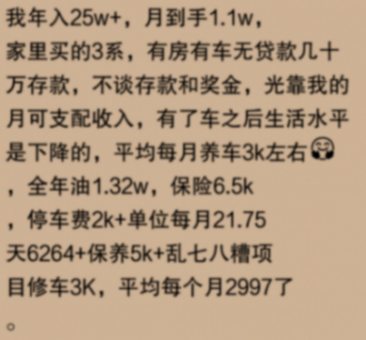 奔馳E300,網(wǎng)友:“普通人能否輕松駕馭豪車夢想?”