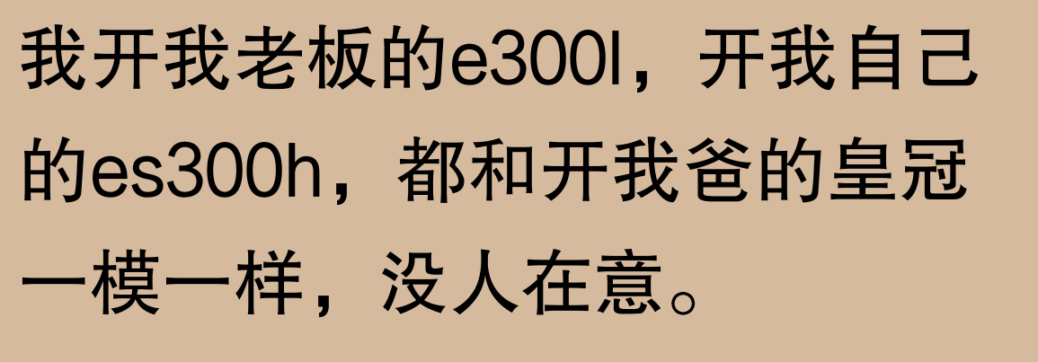 奔馳E300,網(wǎng)友:“普通人能否輕松駕馭豪車夢想?”