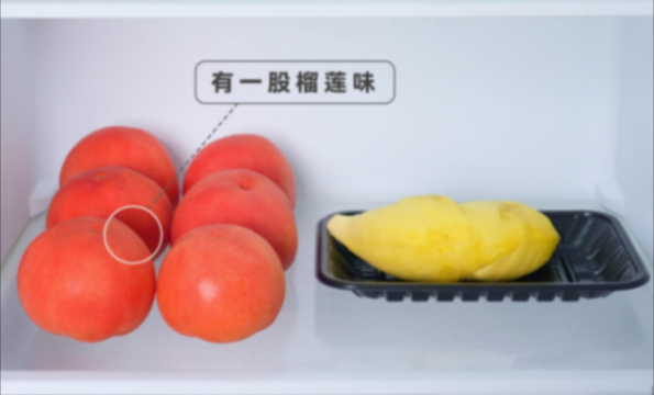 奉勸大家:冰箱要買雙系統,體驗20天TCLT9Pro,有些話不吐不快
