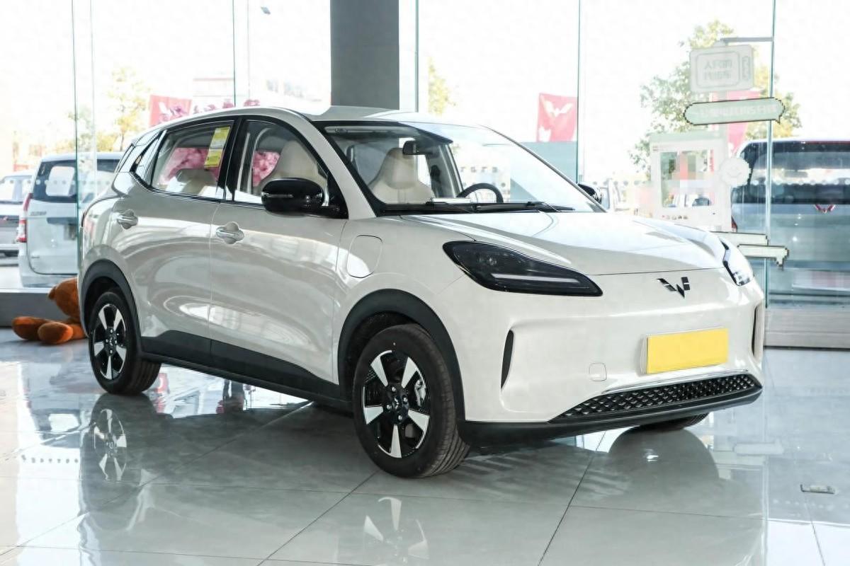 7、8萬買純電小車,不是海鷗不夠香,而是繽果SUV更具性價比!