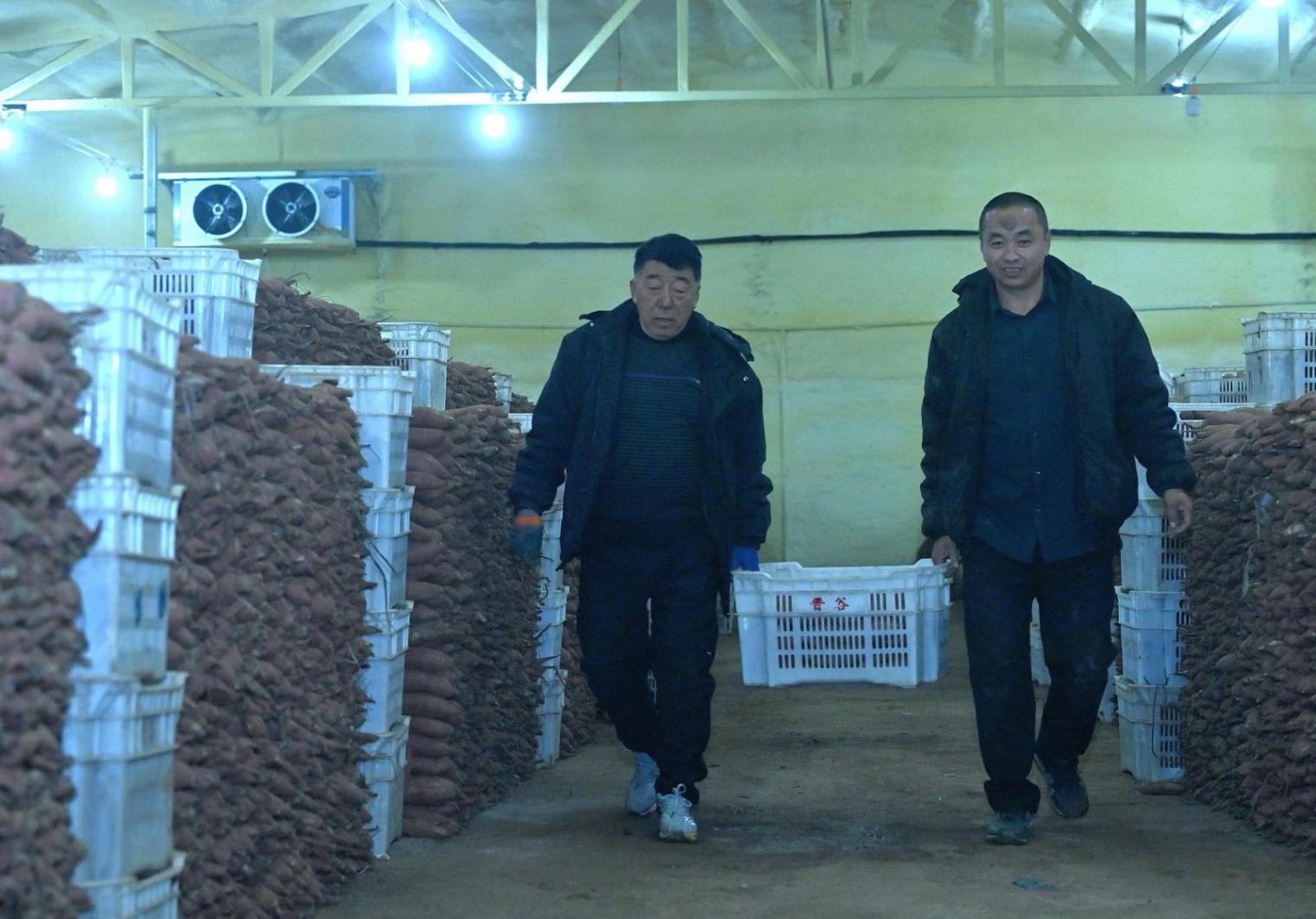 “三聯”運營模式 助農踏上致富路