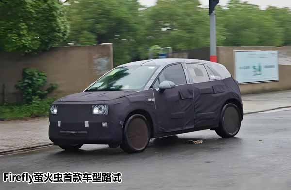 螢火蟲 拷貝.jpg
