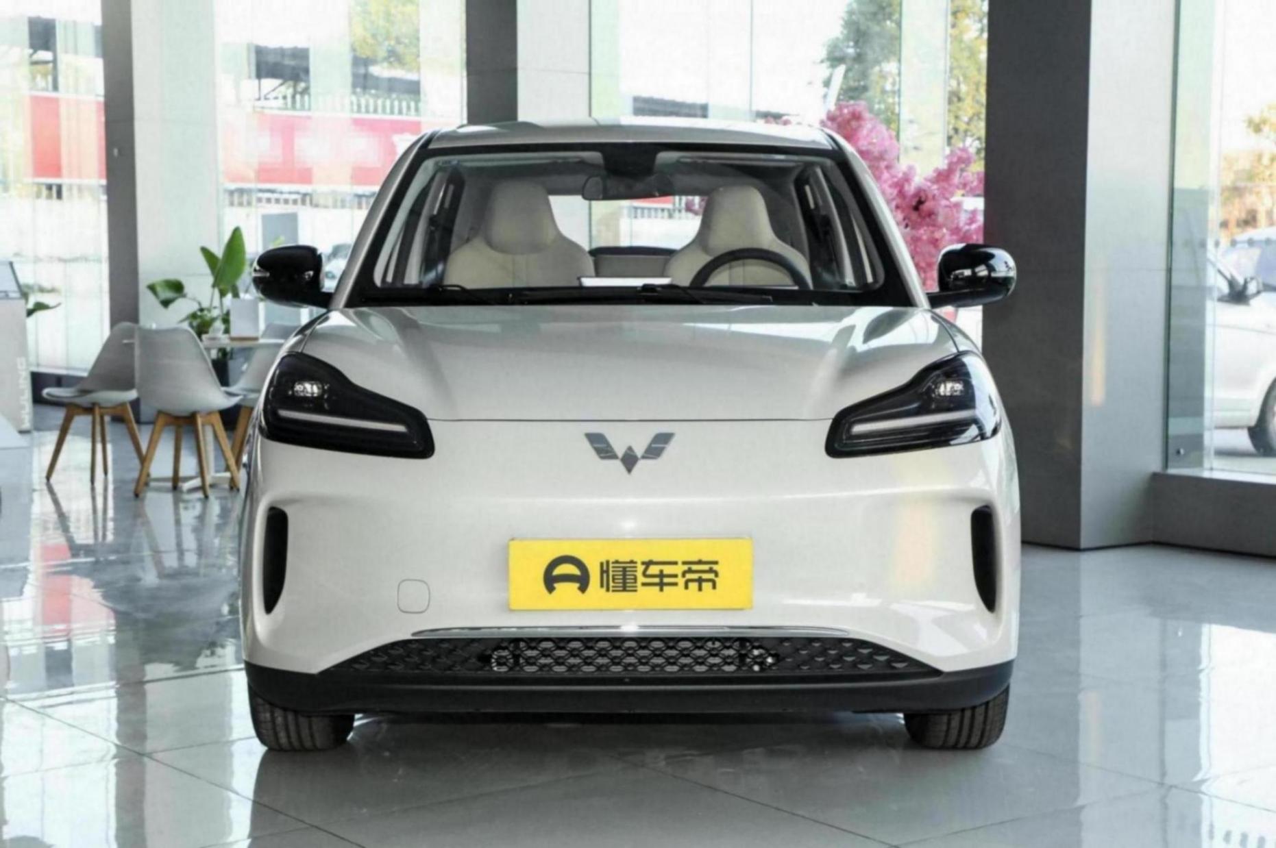 10萬預算看這車,空間大顏值高,續航最高510km,家用正合適!