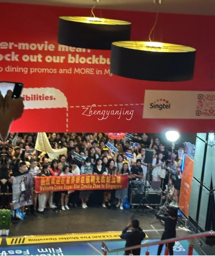 趙麗穎紅毯造型被嘲太土像微商