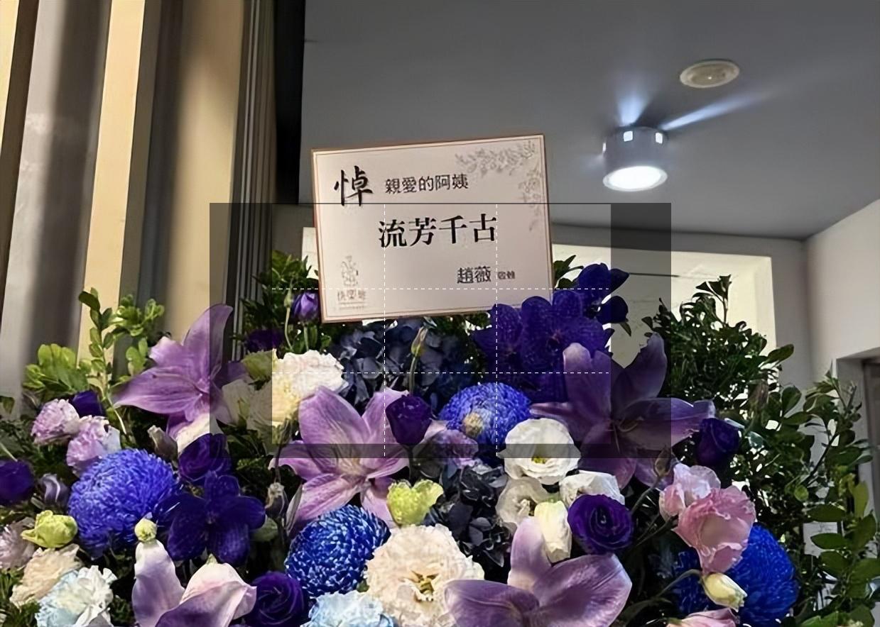 眾星送別瓊瑤