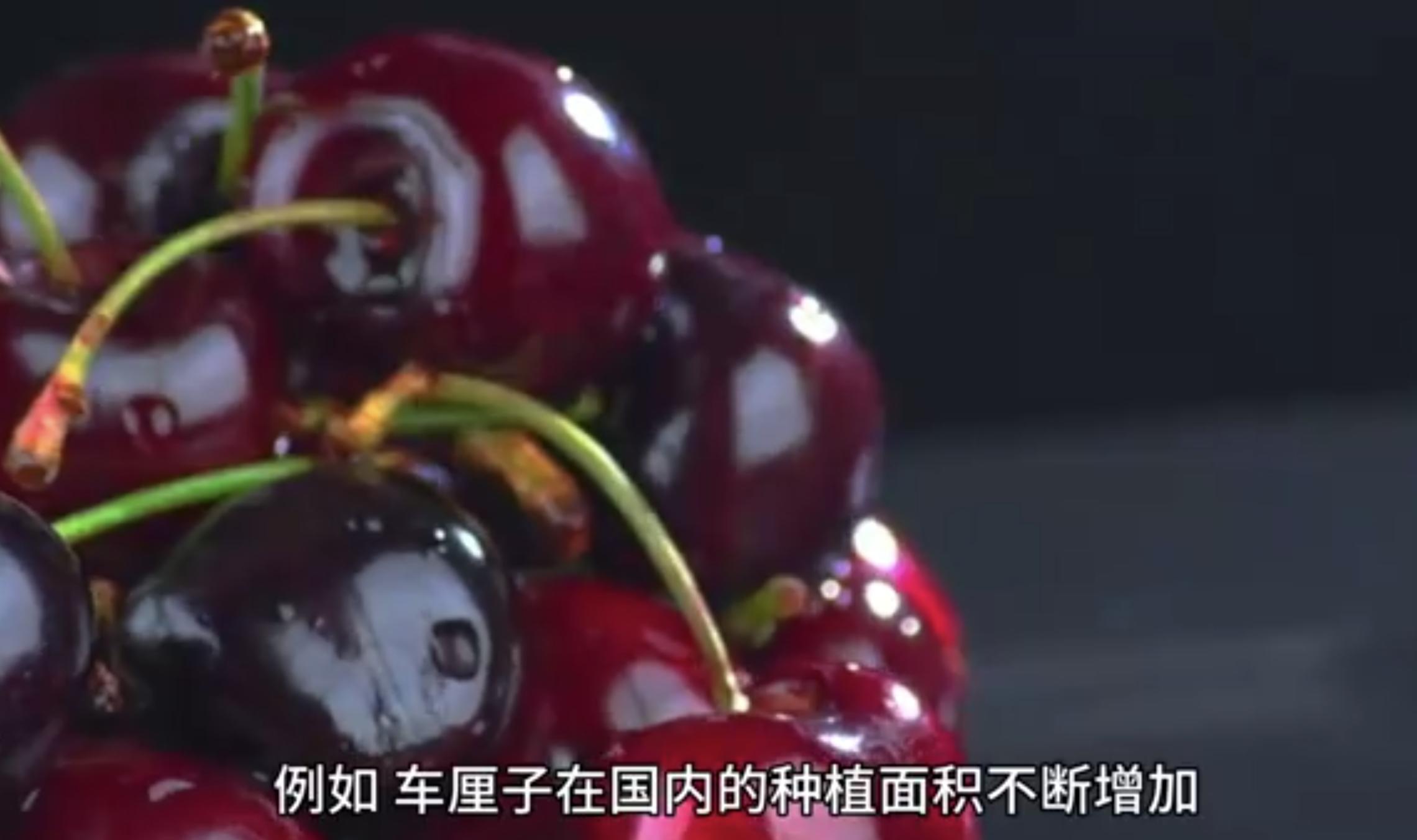 果中貴族“斷崖”降價 網友等不及了