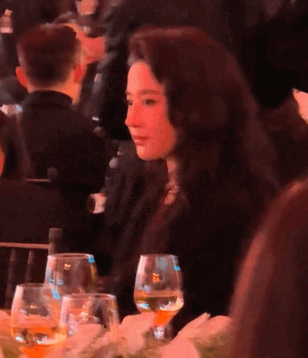劉亦菲晚宴內場美到發光