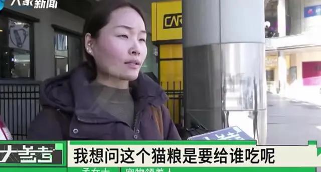 女子免費領養貓咪陷入“貓貸”糾紛
