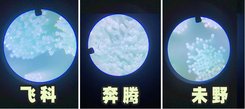 飛科、奔騰、未野好不好?怎么選?高性價(jià)比性能王測評出戰(zhàn)!