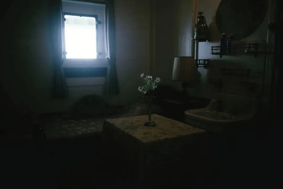 使用電影（綠色）拍攝