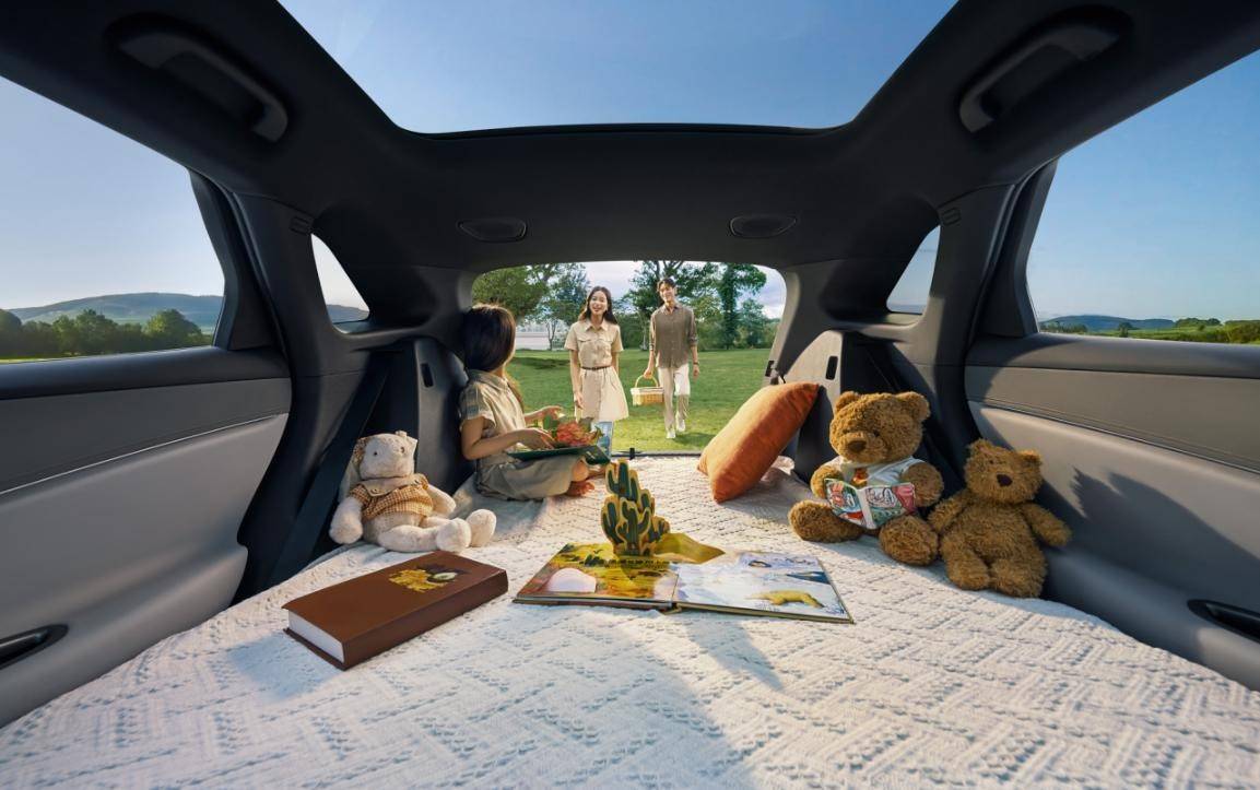 天神之眼C、云輦-C,雙C滿配超級體驗 比亞迪海獅06廣州上市,打造出行新體驗