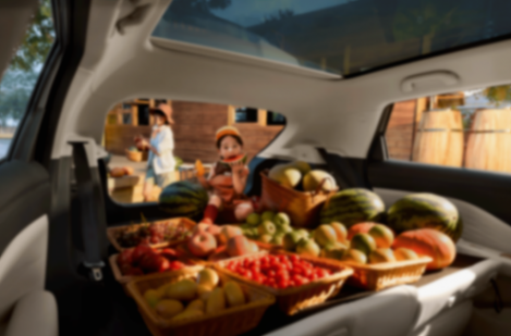 “家庭精品純電新標桿”極狐T1正式上市,共推出320 PRO、320 PLUS、425 PRO、425 PLUS、425 MAX五個版型