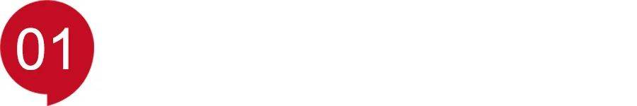 中國方案重塑全球汽車安全基因