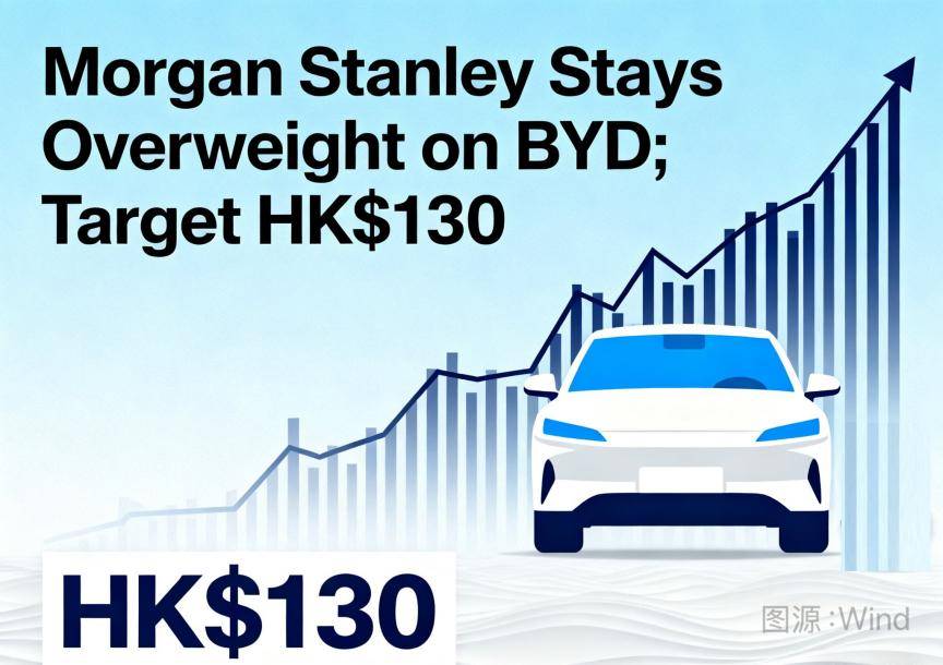 紛紛調高評級,比亞迪成為國際資本眼中的“香餑餑”